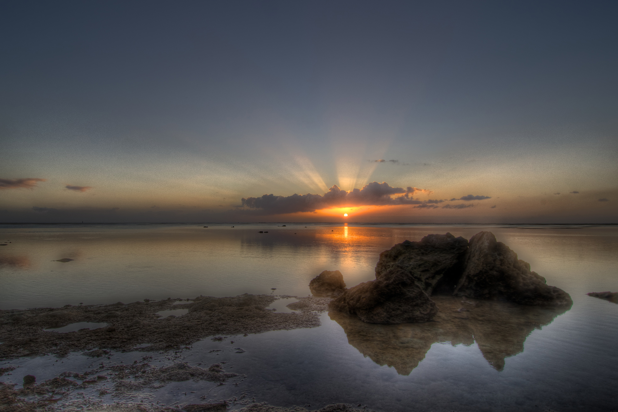 Orange Rays