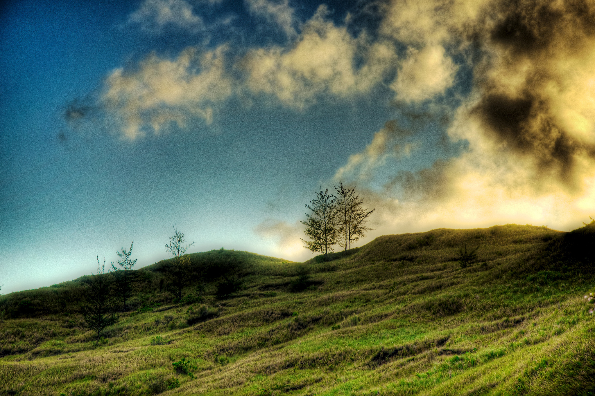 Twins on the Hill