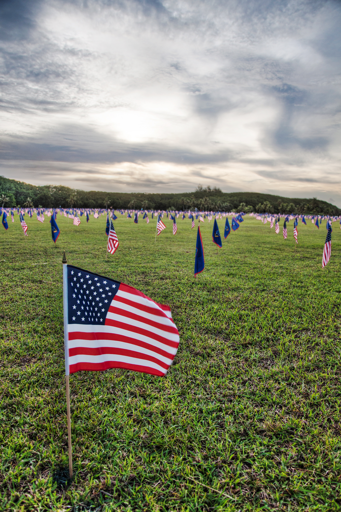 Field of Flags