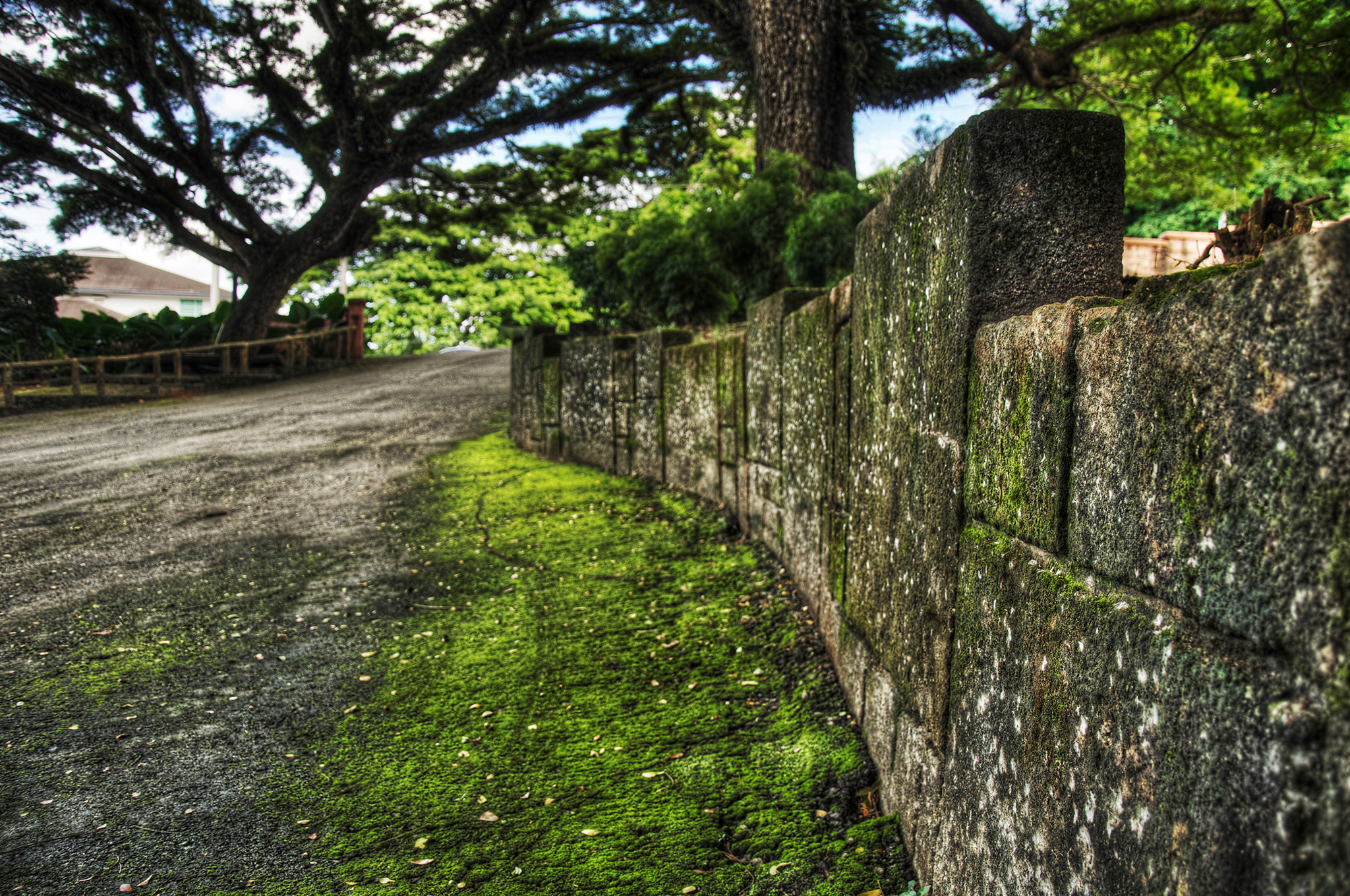 Wall, Latte Stone Park