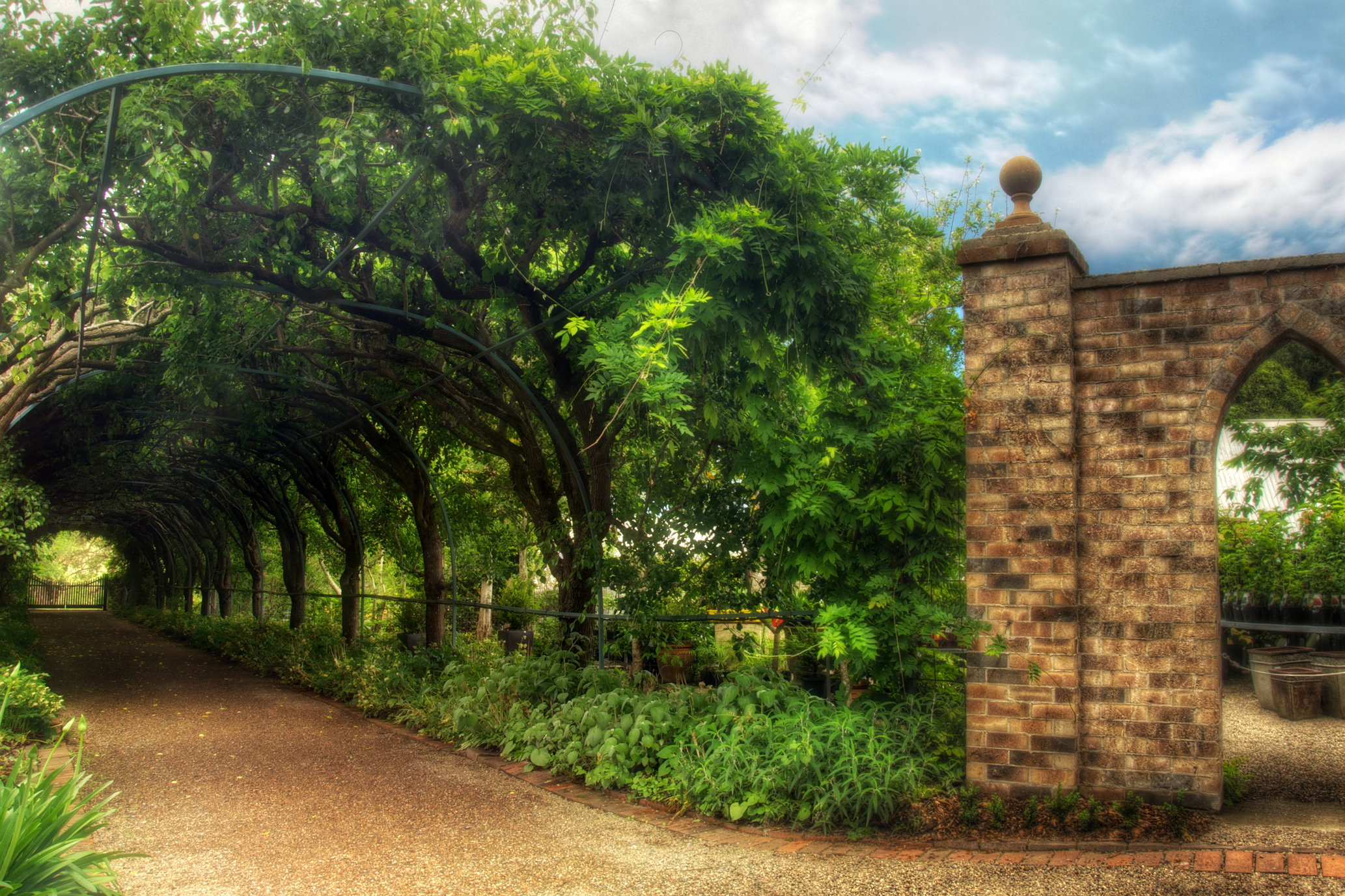 Foxglove Spires Arch